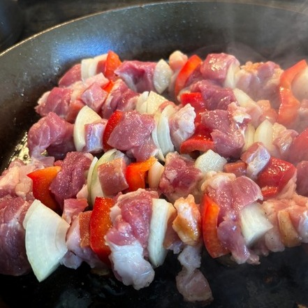 Schaschlik 010