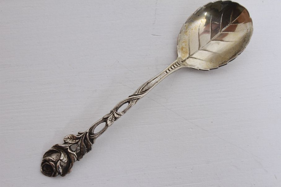 Thunfisch Avocado Tatar