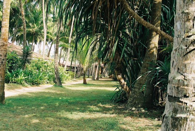 2002 15 Sri Lanka 051