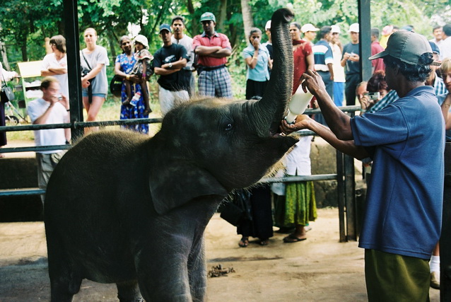 2002 15 Sri Lanka 153