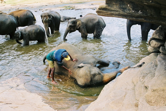 2002 15 Sri Lanka 163