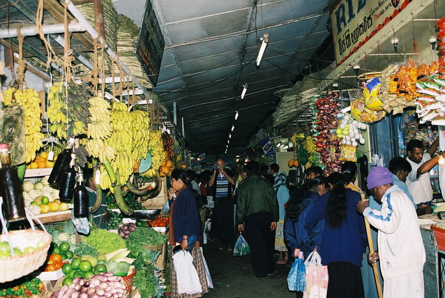 2002 15 Sri Lanka 183