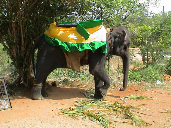 2002 15 Sri Lanka 240