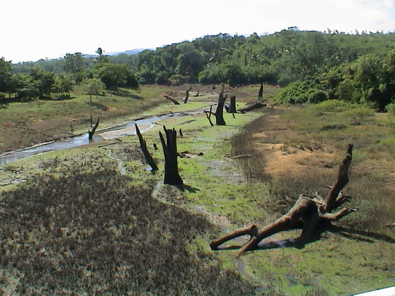 2002 15 Sri Lanka 277
