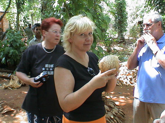 2002 15 Sri Lanka 282