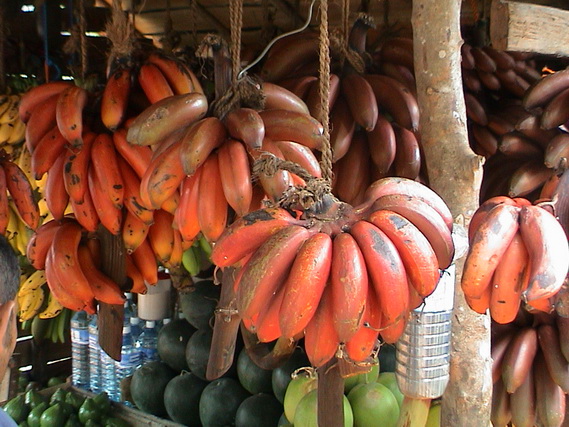 2002 15 Sri Lanka 306