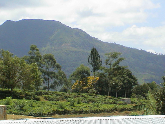 2002 15 Sri Lanka 332