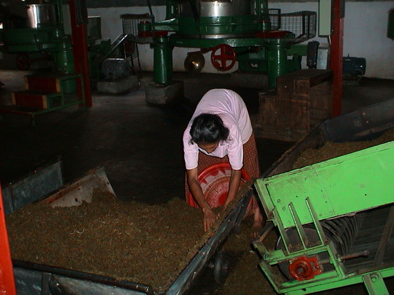 2002 15 Sri Lanka 334