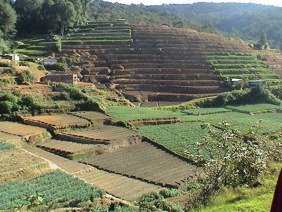 2002 15 Sri Lanka 356