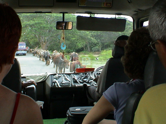 2002 15 Sri Lanka 376