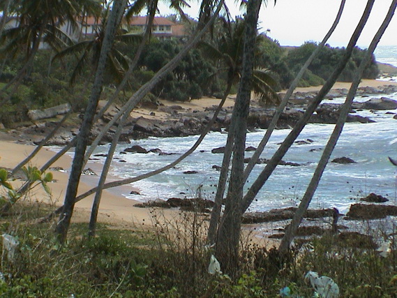 2002 15 Sri Lanka 381