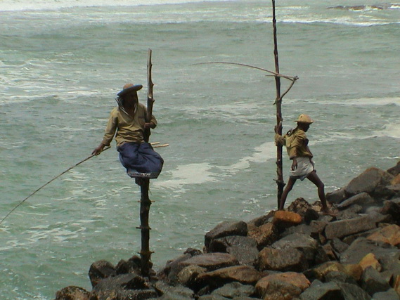 2002 15 Sri Lanka 383