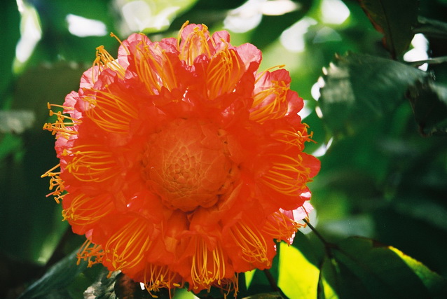 2002 15 Sri Lanka 168