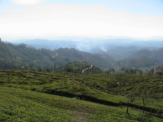 2002 15 Sri Lanka 361