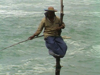 2002 15 Sri Lanka 384