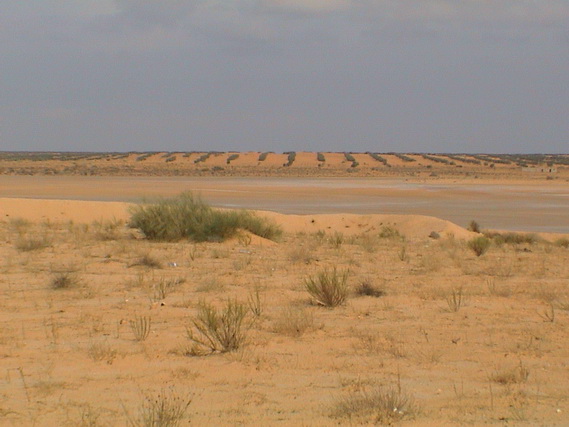 2003 19 Djerba 046
