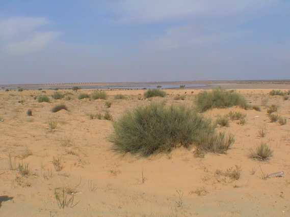 2003 19 Djerba 047