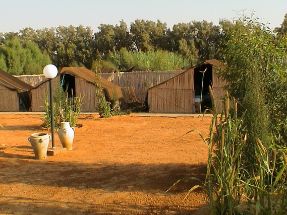 2003 19 Djerba 101