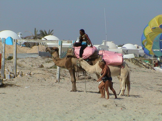 2003 19 Djerba 132