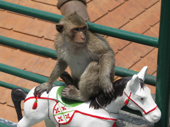 2005 06 Thailand 111