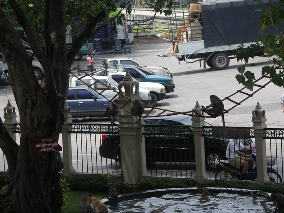 2005 06 Thailand 113