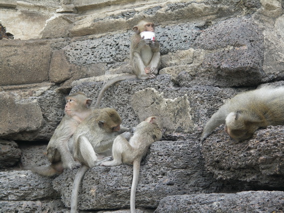 2005 06 Thailand 115