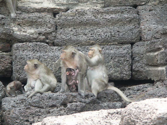 2005 06 Thailand 116