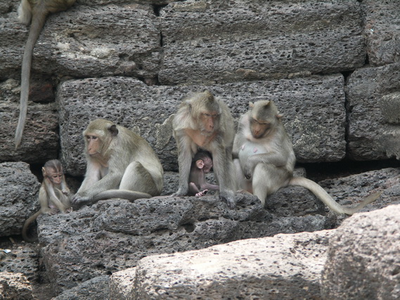 2005 06 Thailand 117