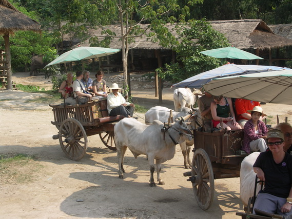 2005 06 Thailand 196