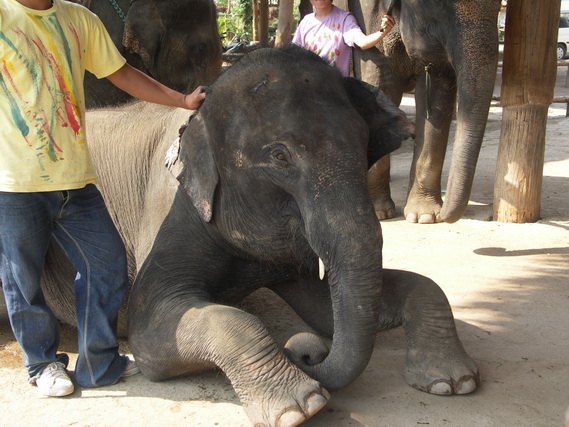 2005 06 Thailand 197