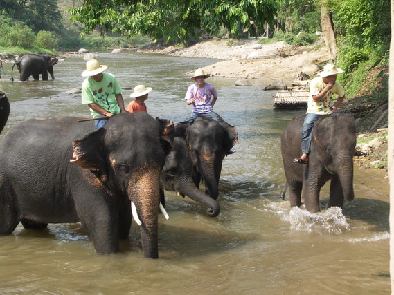 2005 06 Thailand 200