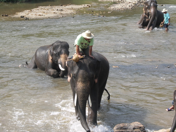 2005 06 Thailand 201