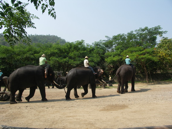 2005 06 Thailand 202