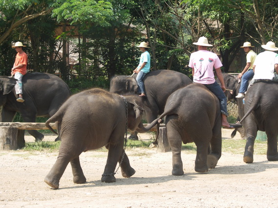 2005 06 Thailand 203
