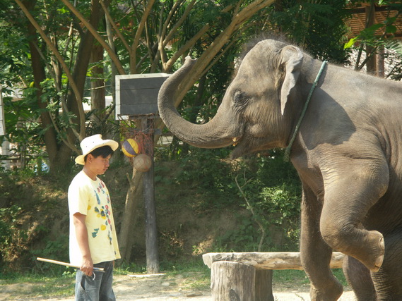2005 06 Thailand 204