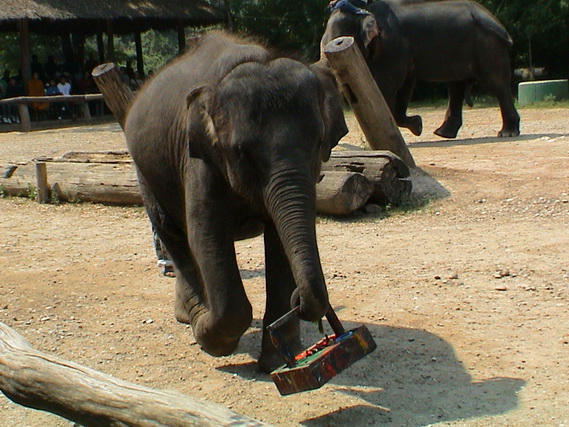 2005 06 Thailand 209