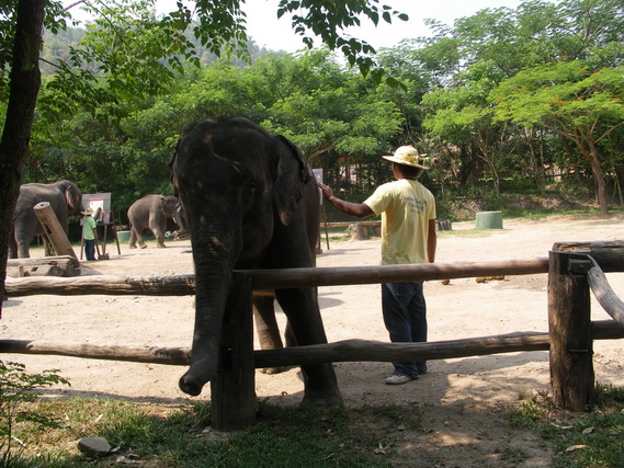 2005 06 Thailand 206