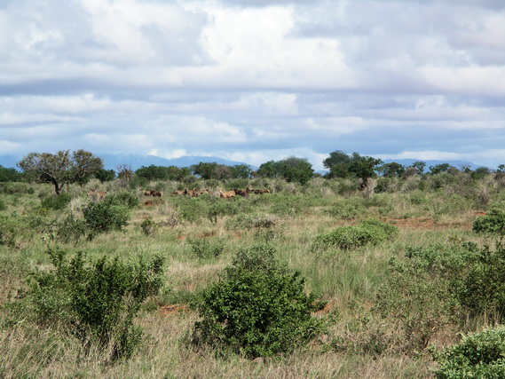 2006 04 Kenia 115