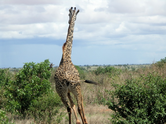 2006 04 Kenia 135