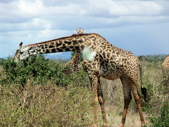 2006 04 Kenia 138