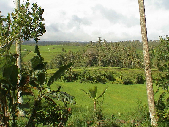2007 08 Bali 075