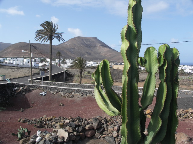 2008 12 Lanzarote 108