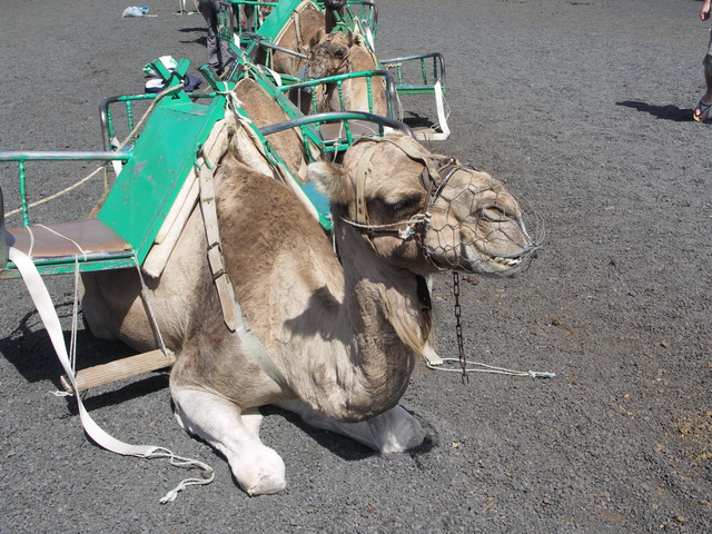 2008 12 Lanzarote 186