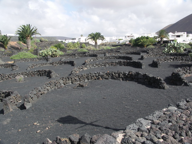 2008 12 Lanzarote 262