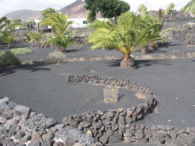 2008 12 Lanzarote 263