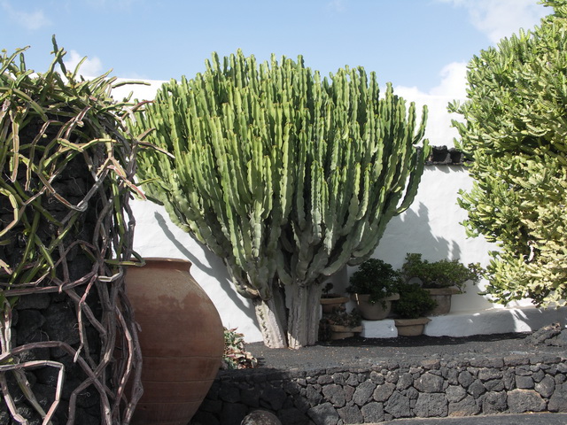 2008 12 Lanzarote 270