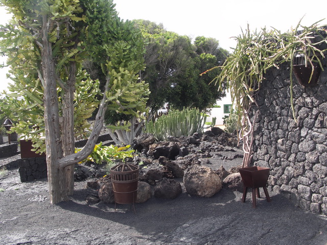 2008 12 Lanzarote 271