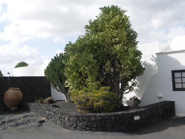 2008 12 Lanzarote 274
