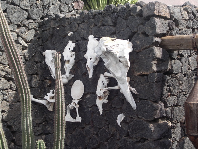 2008 12 Lanzarote 275