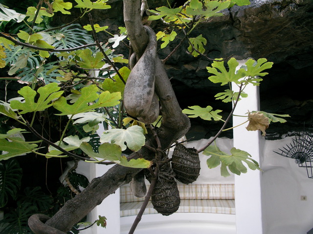 2008 12 Lanzarote 300